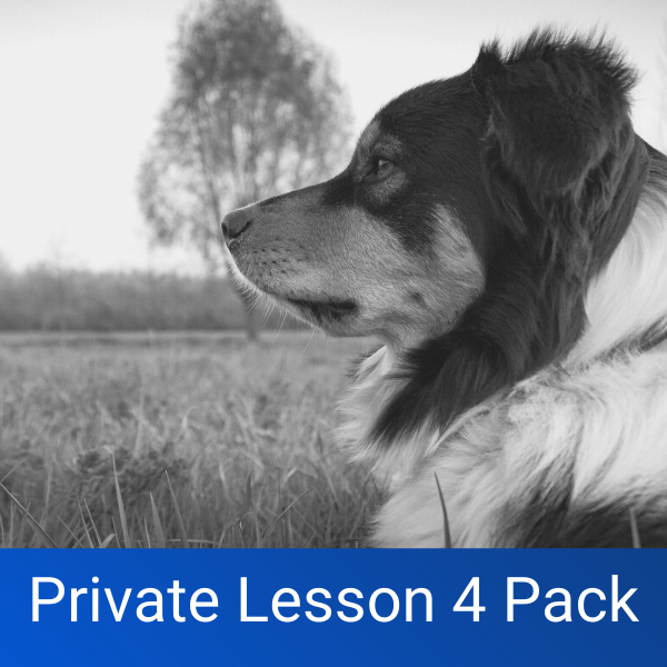 Private Lesson 4 Pack