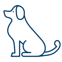 advanced obedience 1