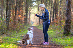 OLK9 Dog Training Blog 20 6 1