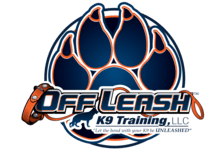 OLK9 Logo small