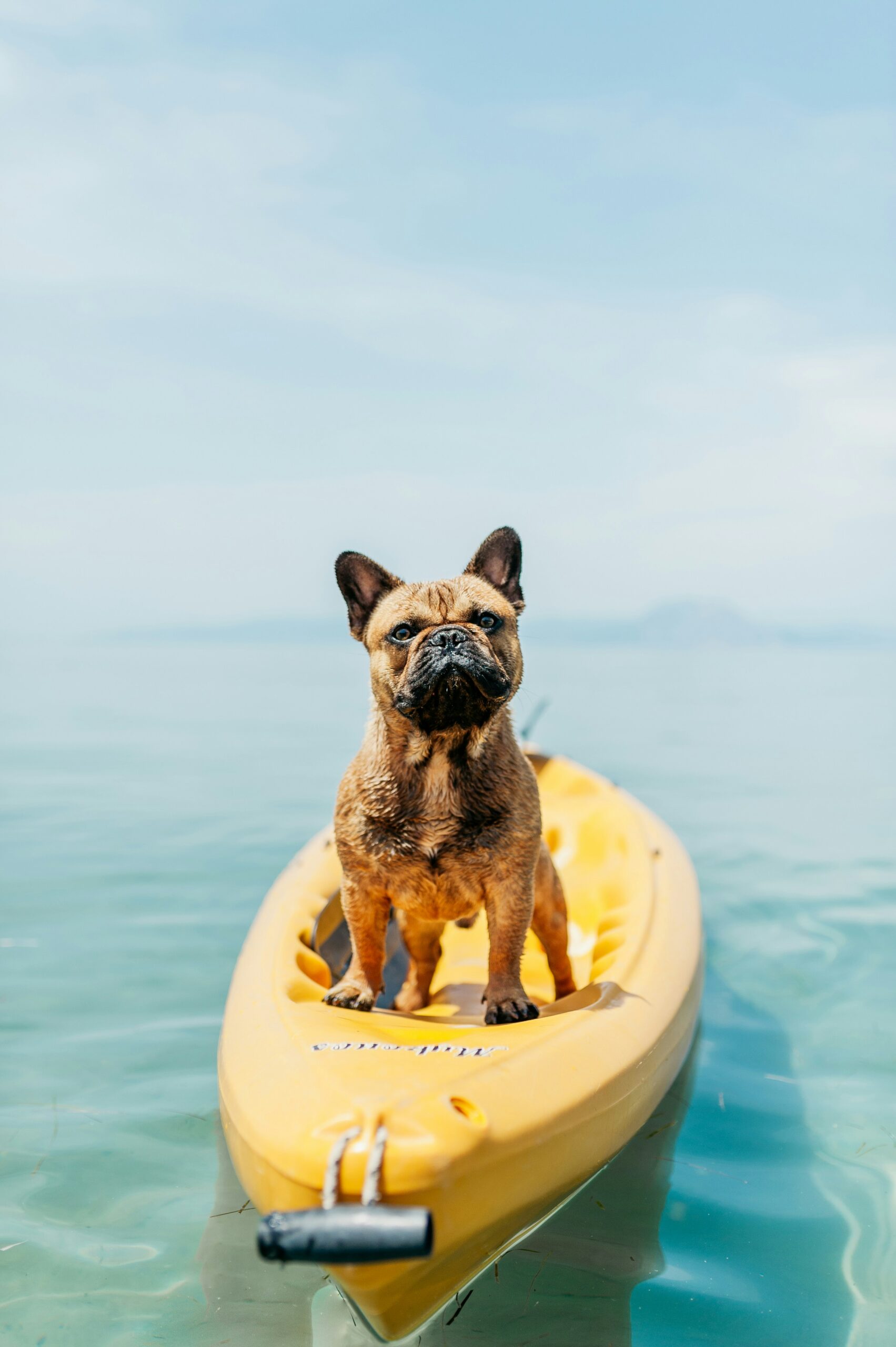 Beat the Heat: Signs of Overheating and How to Prevent It