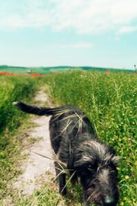 Beat the Heat: Signs of Overheating and How to Prevent It 