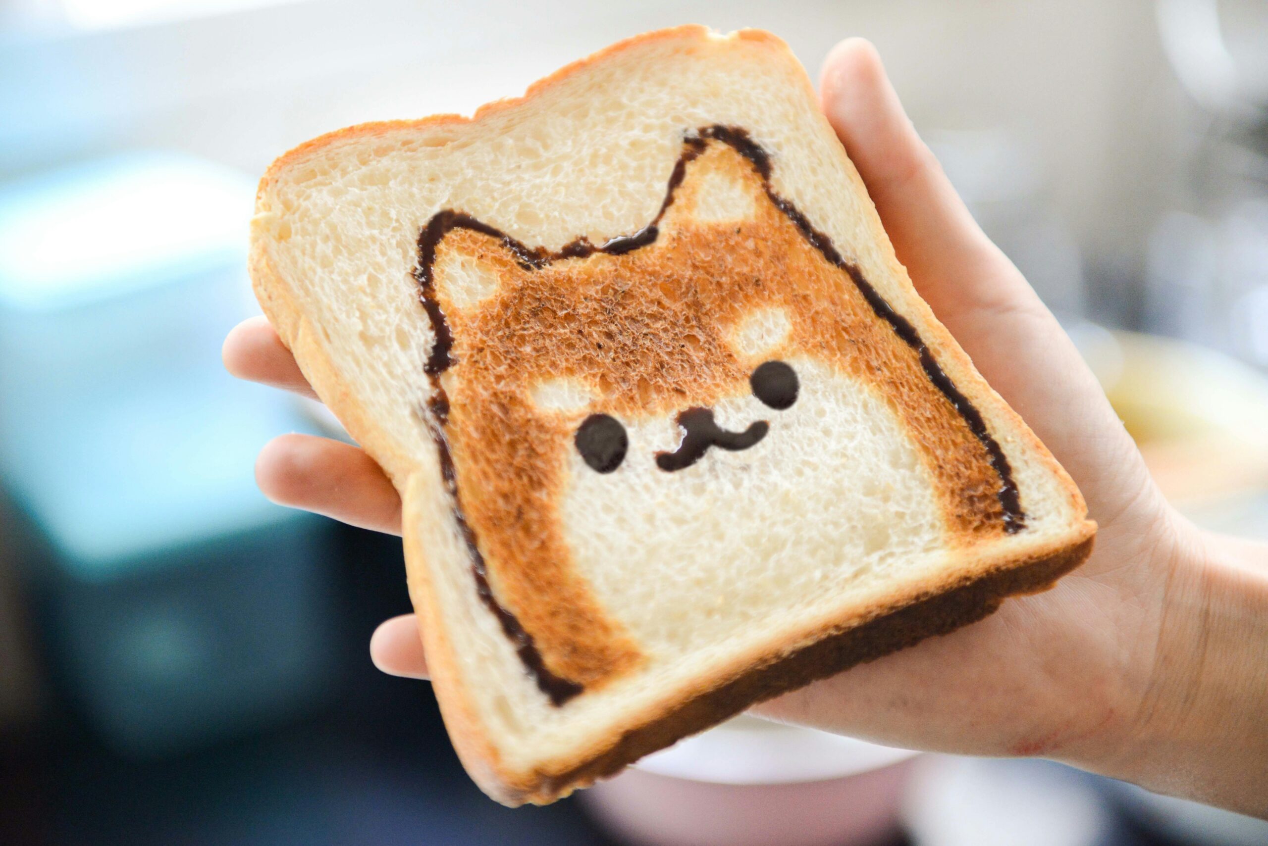 Summer foods for dogs