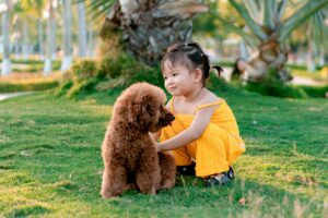 Training Tips for Families With Kids and Dogs