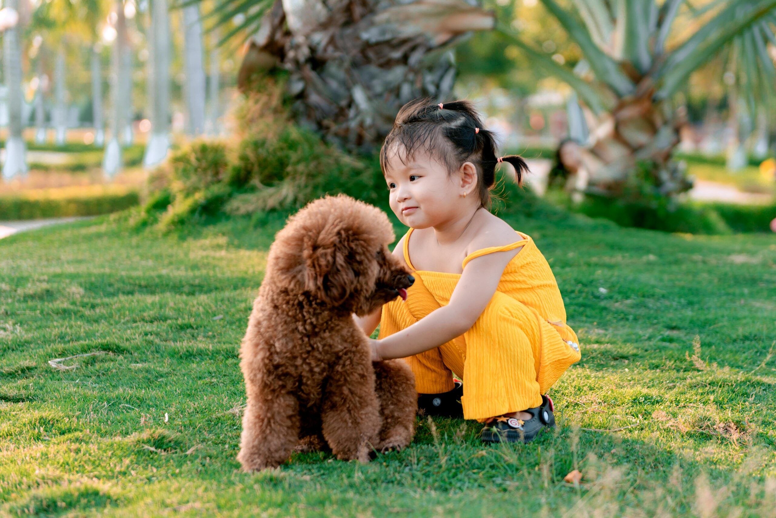 Training Tips for Families With Kids and Dogs