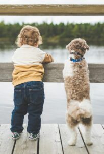 Training Tips for Families With Kids and Dogs