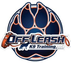 blue paw logo 340x300 1 1 1