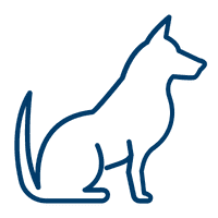Private Dog Training in Toledo, OH 11 Line icon of a sitting dog representing pet care, dog training, or animal services