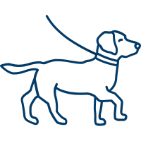 Private Dog Training in Toledo, OH 2 Line icon of a dog standing on a leash representing dog walking, pet care services, or leash training